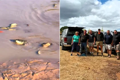 Residents and a local business have rescued an estimated 1,000 fish from a rapidly drying Exeter pond after no action was allegedly taken by officials.