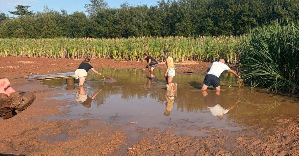 Heroic Brits have formed a human chain to save hundreds of fish from a rapidly drying Exeter pond, while slamming the local government for its lack of action.