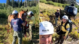 A horse had to be airlifted to safety after becoming stranded in rugged wilderness at 7,200ft when its rider was bucked off during a 100-mile endurance race.