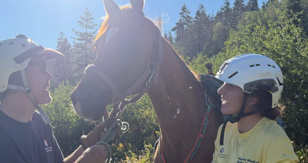 A horse had to be airlifted to safety after becoming stranded in rugged wilderness at 7,200ft when its rider was bucked off during a 100-mile endurance race.