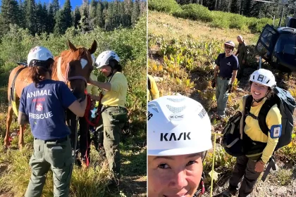 A horse had to be airlifted to safety after becoming stranded in rugged wilderness at 7,200ft when its rider was bucked off during a 100-mile endurance race.