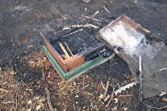 A beekeeper is heartbroken after a suspected arson attack wiped out around 200,000 bees and destroyed thousands of pounds worth of equipment.