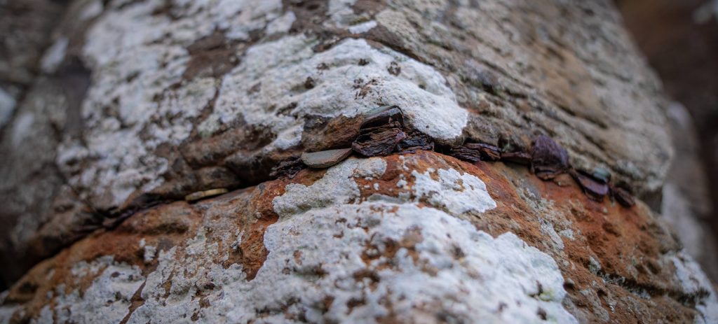 Tourists who hammered 10,000 coins into a World Heritage landmark left conservationists facing a painstaking 200-hour clean-up - with thousands still stuck.