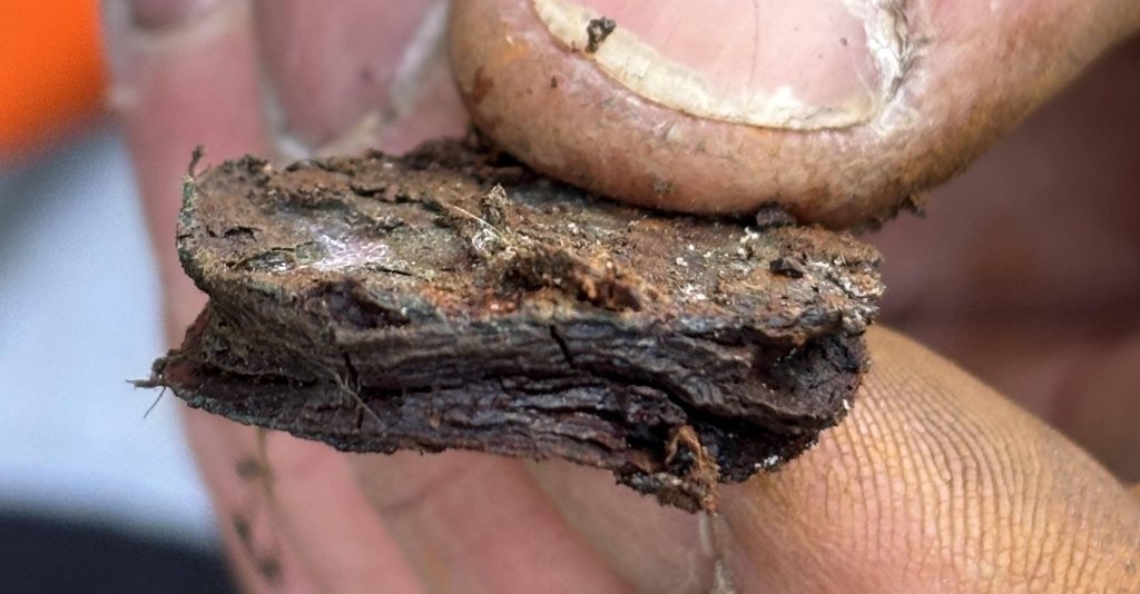 Tourists who hammered 10,000 coins into a World Heritage landmark left conservationists facing a painstaking 200-hour clean-up - with thousands still stuck.