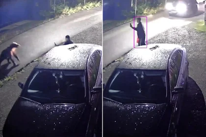 A fearless man fell on his backside then stood up and hurled abuse at a charging bear in Russia - shocking CCTV shows the animal rearing up before backing off.