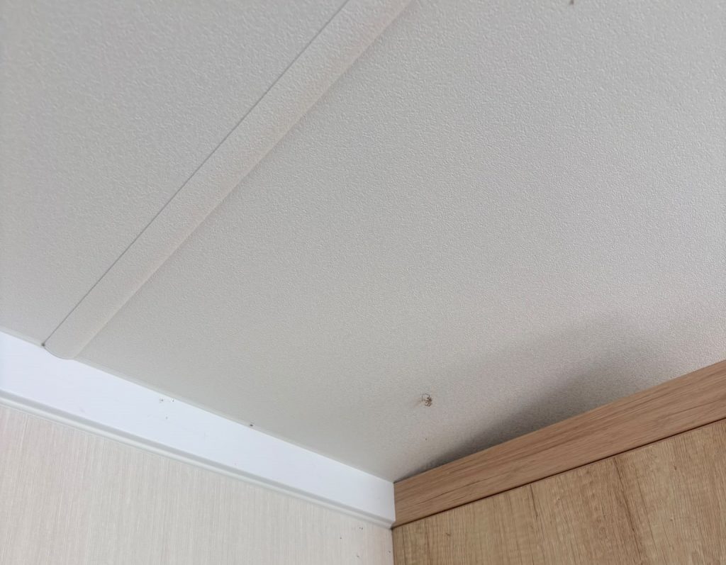 Mum flees Haven holiday park after her kids, aged six and seven, found loose prescription tablets in a caravan cupboard - she claims staff played it down.