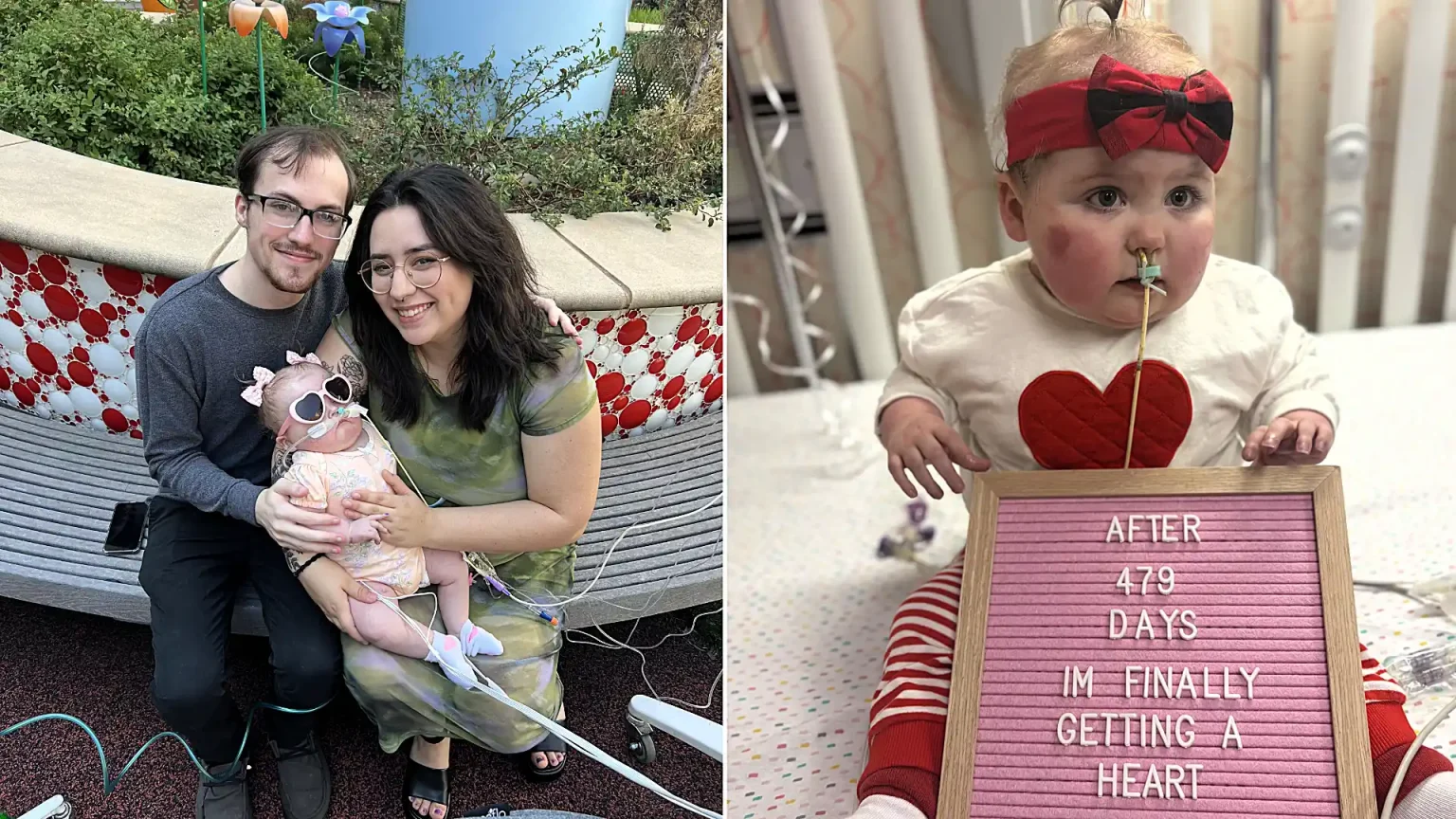 Toddler born with a backwards heart finally goes home after 746 days in hospital - her transplant took 10 hours and she had never even seen a car.