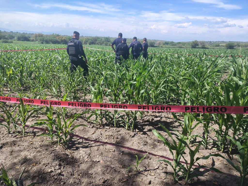 Parachutist has been found dead in a crop field 24 hours after he strayed far from his planned landing zone during a skydiving session in Morelos State, Mexico.