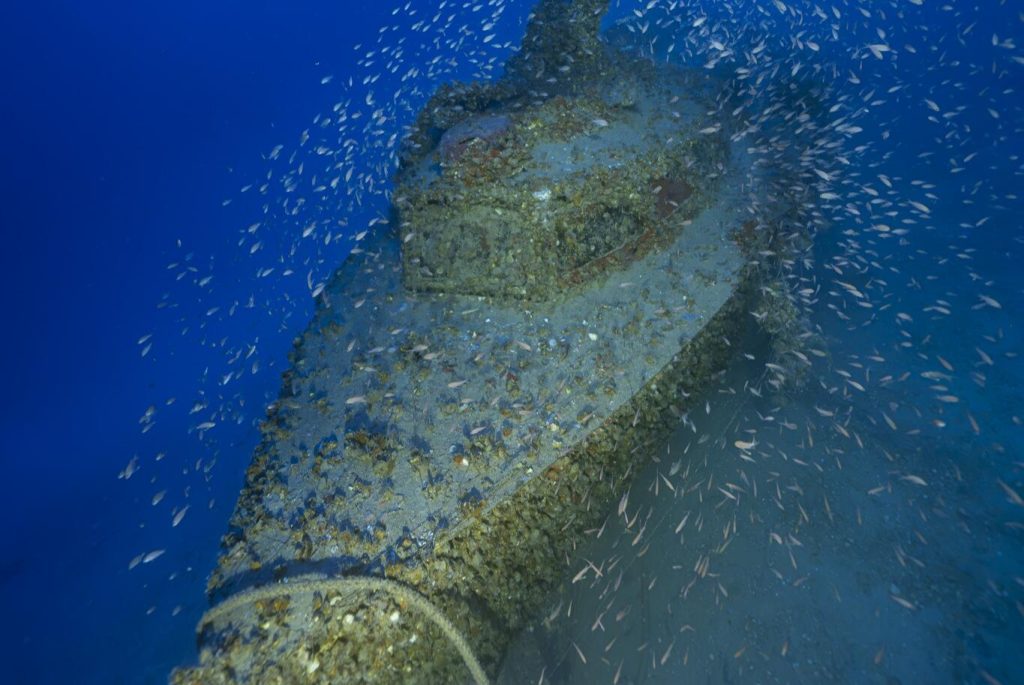 A rare Nazi fast-attack boat has been found 300ft beneath the sea - 83 years after it sank while being towed for repairs, and it may be the last of its kind.A rare Nazi fast-attack boat has been found 300ft beneath the sea - 83 years after it sank while being towed for repairs, and it may be the last of its kind.