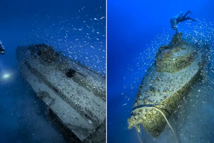 A rare Nazi fast-attack boat has been found 300ft beneath the sea - 83 years after it sank while being towed for repairs, and it may be the last of its kind.A rare Nazi fast-attack boat has been found 300ft beneath the sea - 83 years after it sank while being towed for repairs, and it may be the last of its kind.