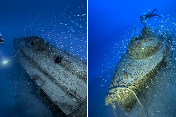 A rare Nazi fast-attack boat has been found 300ft beneath the sea - 83 years after it sank while being towed for repairs, and it may be the last of its kind.A rare Nazi fast-attack boat has been found 300ft beneath the sea - 83 years after it sank while being towed for repairs, and it may be the last of its kind.