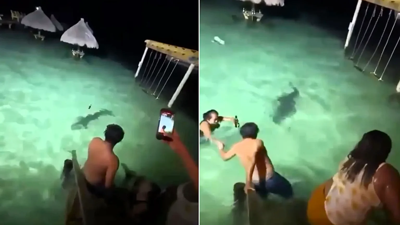 Terrified tourists were dragged from the sea in Belize after a huge crocodile stalked them during a night-time swim - with one woman fleeing clutching her beer.