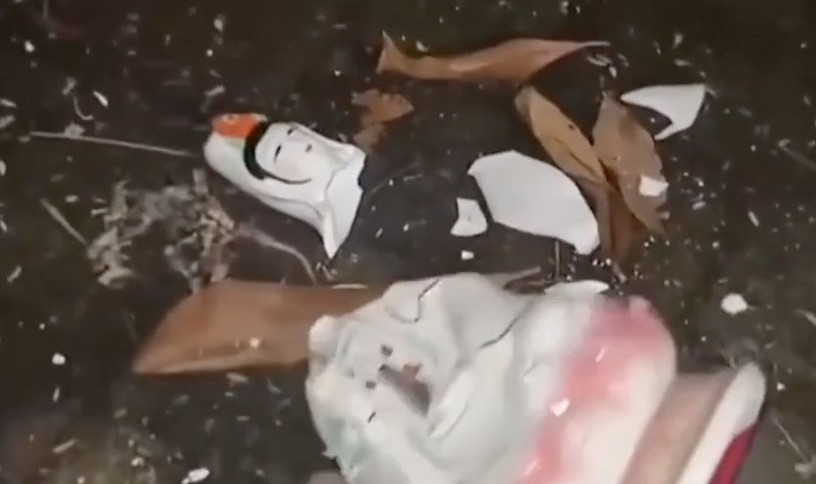 Ghost-hunting influencer Jiang Xiaorou has died in a horror car crash, months after smashing a Guanyin statue in a viral 'anti-superstition' challenge.
