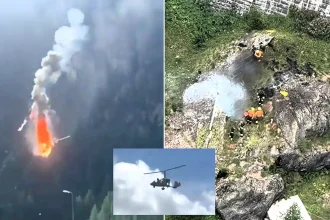 A two-seater gyrocopter erupted into a fireball after hitting cableway wires, killing both people on board - with the crash witnessed by the pilot's brother.