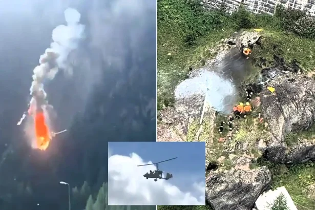 A two-seater gyrocopter erupted into a fireball after hitting cableway wires, killing both people on board - with the crash witnessed by the pilot's brother.