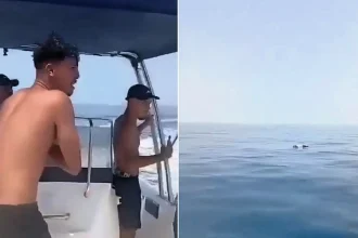 A young man broke down after spotting a body he believed was his brother's floating in the sea - one of 12 recovered after a migrant boat capsized off Tunisia.
