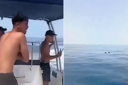A young man broke down after spotting a body he believed was his brother's floating in the sea - one of 12 recovered after a migrant boat capsized off Tunisia.