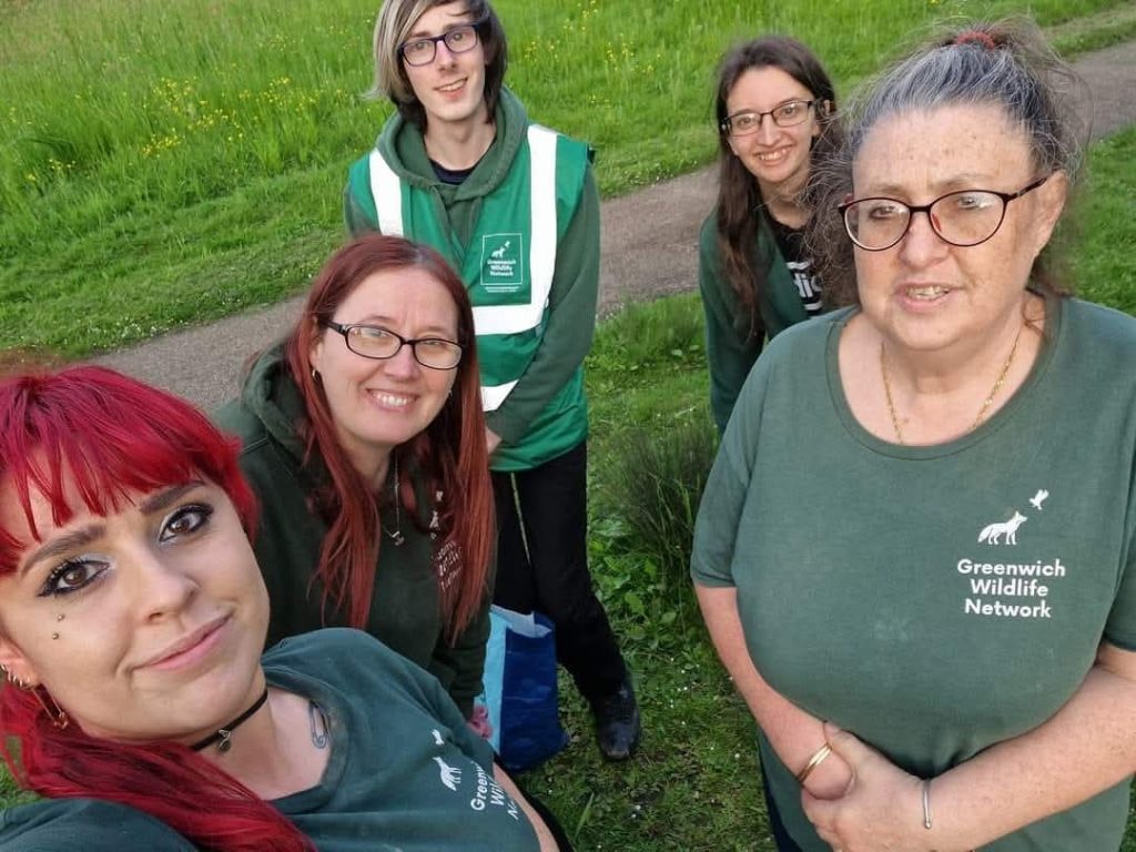Forty-three parakeets have been found dead in a London park amid claims yobs are shooting the sleeping birds with catapults and filming it for TikTok.