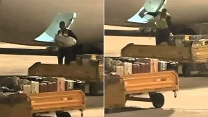 Shocking footage shows a lone baggage handler violently hurling cargo into a plane's hold at a Chinese airport - but viewers are divided over who's really to blame.