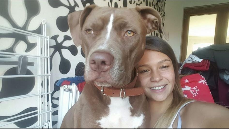 Seemingly healthy Megan Haslam, 30, died suddenly after being stretchered from her home - friends say she had just reached the best point of her adult life.