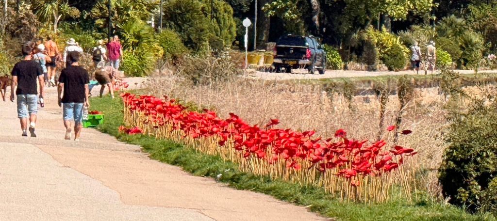 Thousands of scallop shells have been turned into poppies for 9/11's 25th anniversary - honouring a Cornish hero who led 2,500 people out of the South Tower.