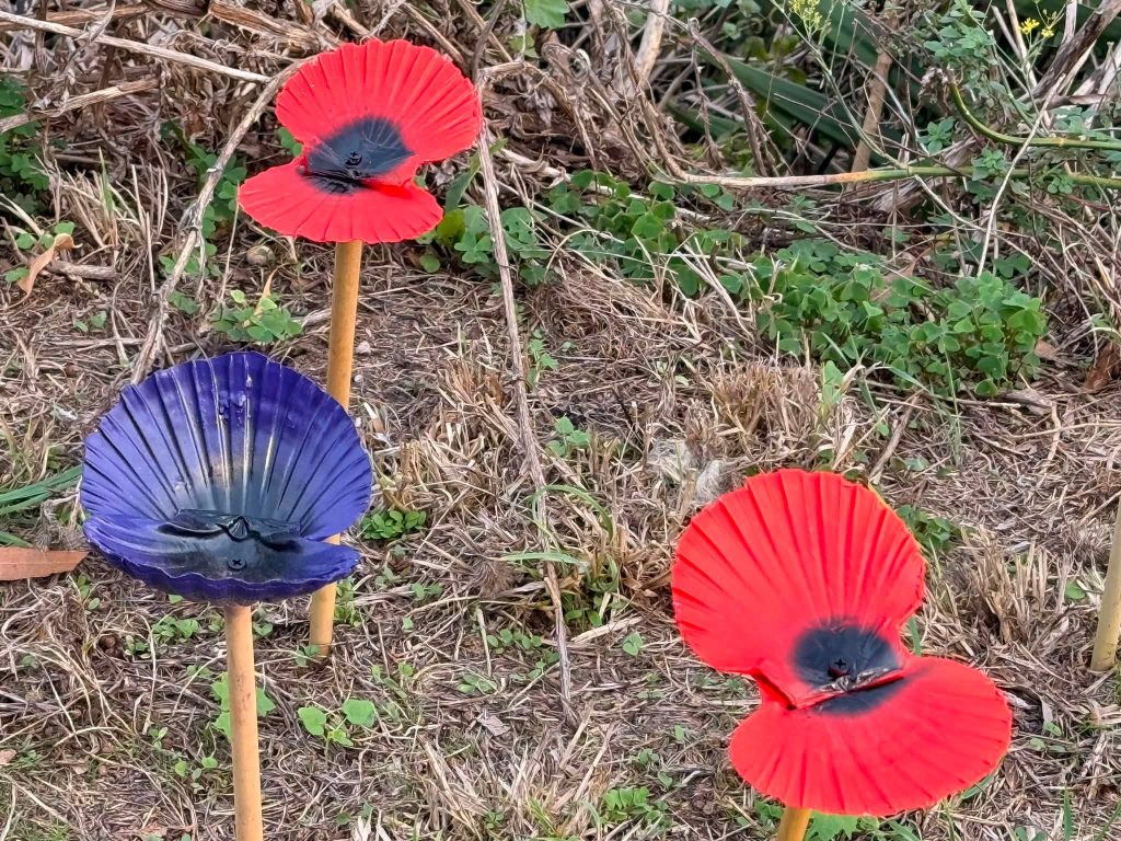 Thousands of scallop shells have been turned into poppies for 9/11's 25th anniversary - honouring a Cornish hero who led 2,500 people out of the South Tower.
