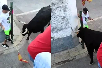 A daredevil bull runner in Spain narrowly escaped being gored after squeezing behind a thin pole as a charging bull slammed its horns either side of his body.