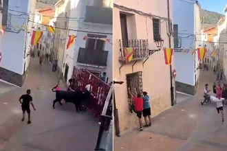 A man was airlifted to hospital with a collapsed lung after a bull charged head-first into him and tossed him through a barrier during a Spanish bull run.