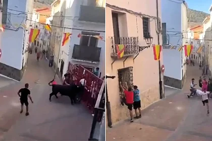 A man was airlifted to hospital with a collapsed lung after a bull charged head-first into him and tossed him through a barrier during a Spanish bull run.