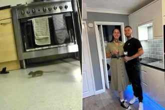 A family say they can hear rats scurrying in their walls at night - and installed CCTV in their own home to prove the infestation was real.