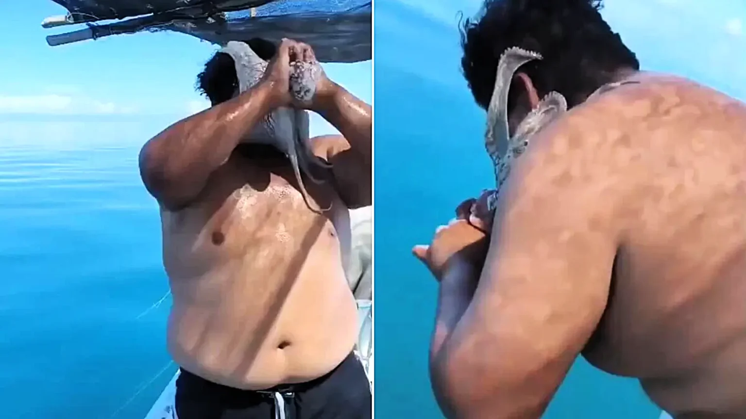 A fisherman in Mexico battled to tear an octopus off his face as it clamped on with its tentacles - while his mate filmed the bizarre ordeal and laughed hysterically.