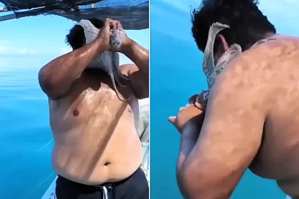 A fisherman in Mexico battled to tear an octopus off his face as it clamped on with its tentacles - while his mate filmed the bizarre ordeal and laughed hysterically.