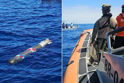 Fishermen hunting marlin off Mexico were stunned to find what looked like a live torpedo bobbing in the Pacific - and feared it would explode if touched.