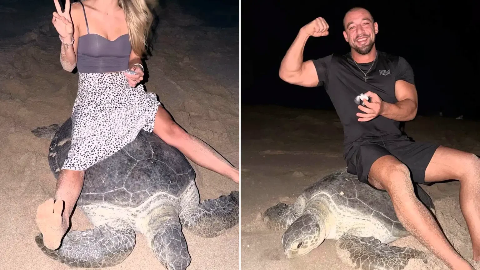 Fitness influencer Vadym Oleynik sparks fury after appearing to ride a sea turtle while it laid eggs in Oman - now authorities have taken legal action against him.