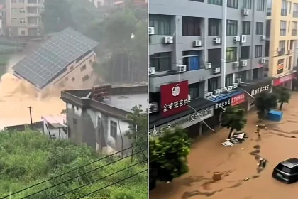 Dramatic footage shows fridges and furniture swept down Chinese streets as a once-in-a-century downpour floods Fujian - and a three-storey building collapses in seconds.