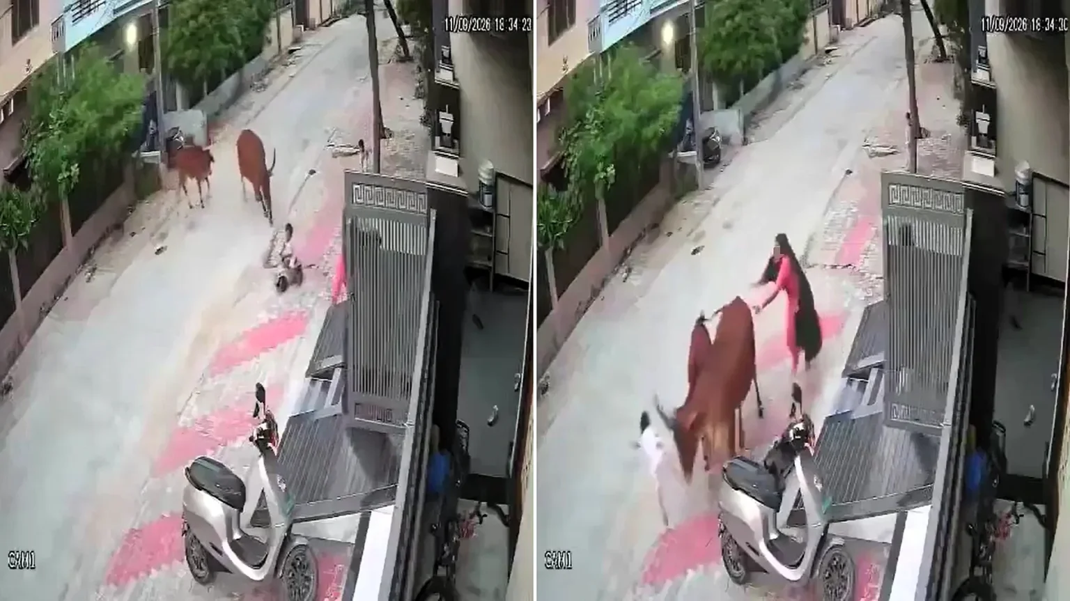 CCTV captures the moment a three-year-old boy is headbutted into the air by a stray cow with huge horns as his mother desperately tries to save him.