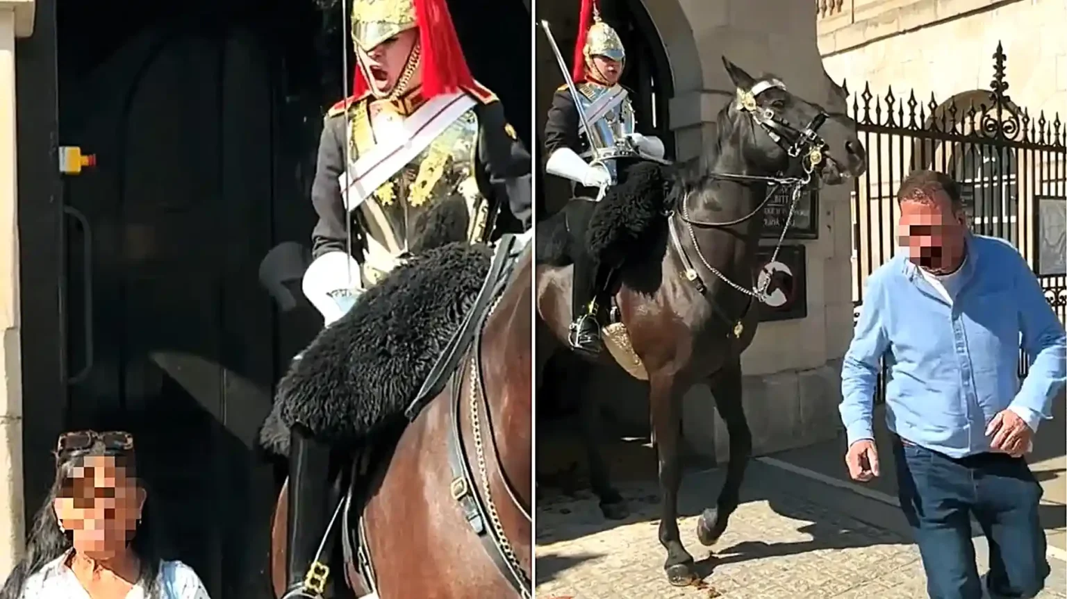 Tourists were filmed stepping over the white line and goading the King's Guard outside London's Household Cavalry Museum - with one woman ignoring orders twice.