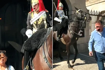 Tourists were filmed stepping over the white line and goading the King's Guard outside London's Household Cavalry Museum - with one woman ignoring orders twice.