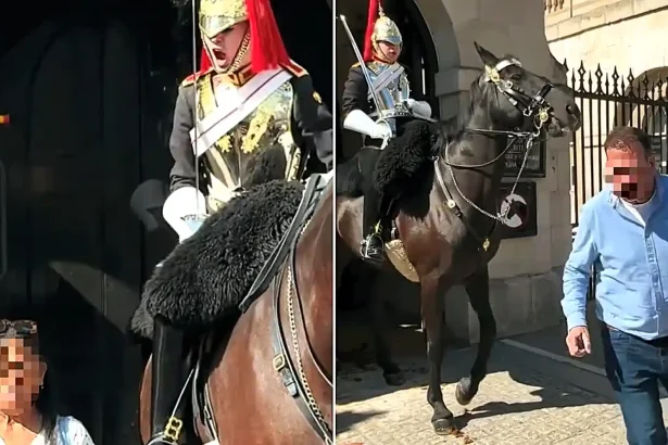 Tourists were filmed stepping over the white line and goading the King's Guard outside London's Household Cavalry Museum - with one woman ignoring orders twice.