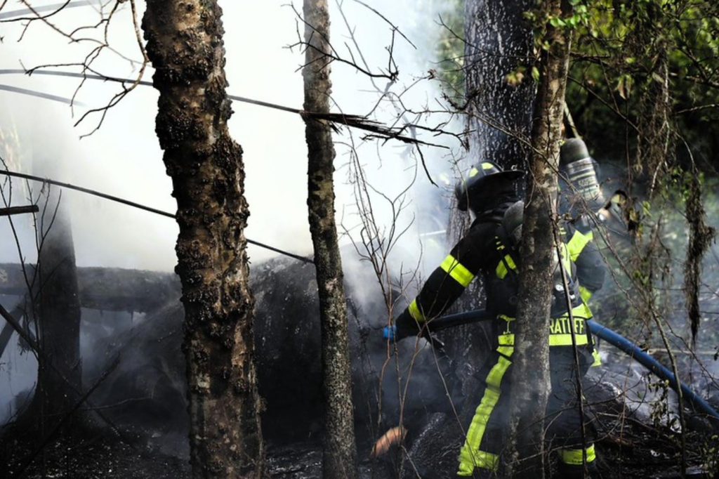 A respected spine surgeon and a hospital worker were killed when their small plane crashed and burst into flames in woods minutes after take-off.