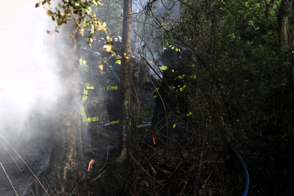 A respected spine surgeon and a hospital worker were killed when their small plane crashed and burst into flames in woods minutes after take-off.