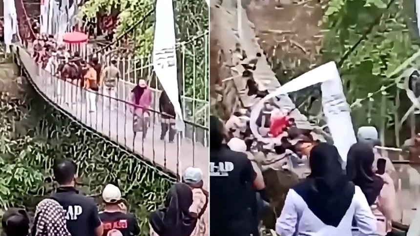 A newly inaugurated suspension bridge gave way as around 50 people crossed it during its opening ceremony - sending dignitaries falling as panic broke out.
