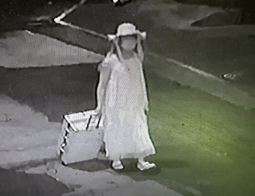 A lecturer allegedly killed and dismembered a graduate he was seeing days after she flew in for her diploma - police say he feared losing his job.