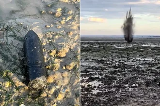 A live World War Two shell has been blown up on a British beach after a member of the public spotted the six-inch device buried in the sand.