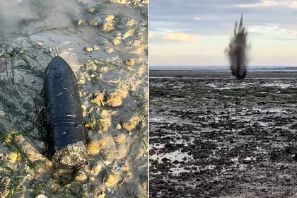 A live World War Two shell has been blown up on a British beach after a member of the public spotted the six-inch device buried in the sand.