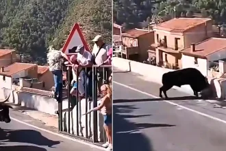 A woman, 64, has been fatally gored at a Spanish bull run after becoming trapped outside the safety barriers - footage shows the bull pinning her against a wall.