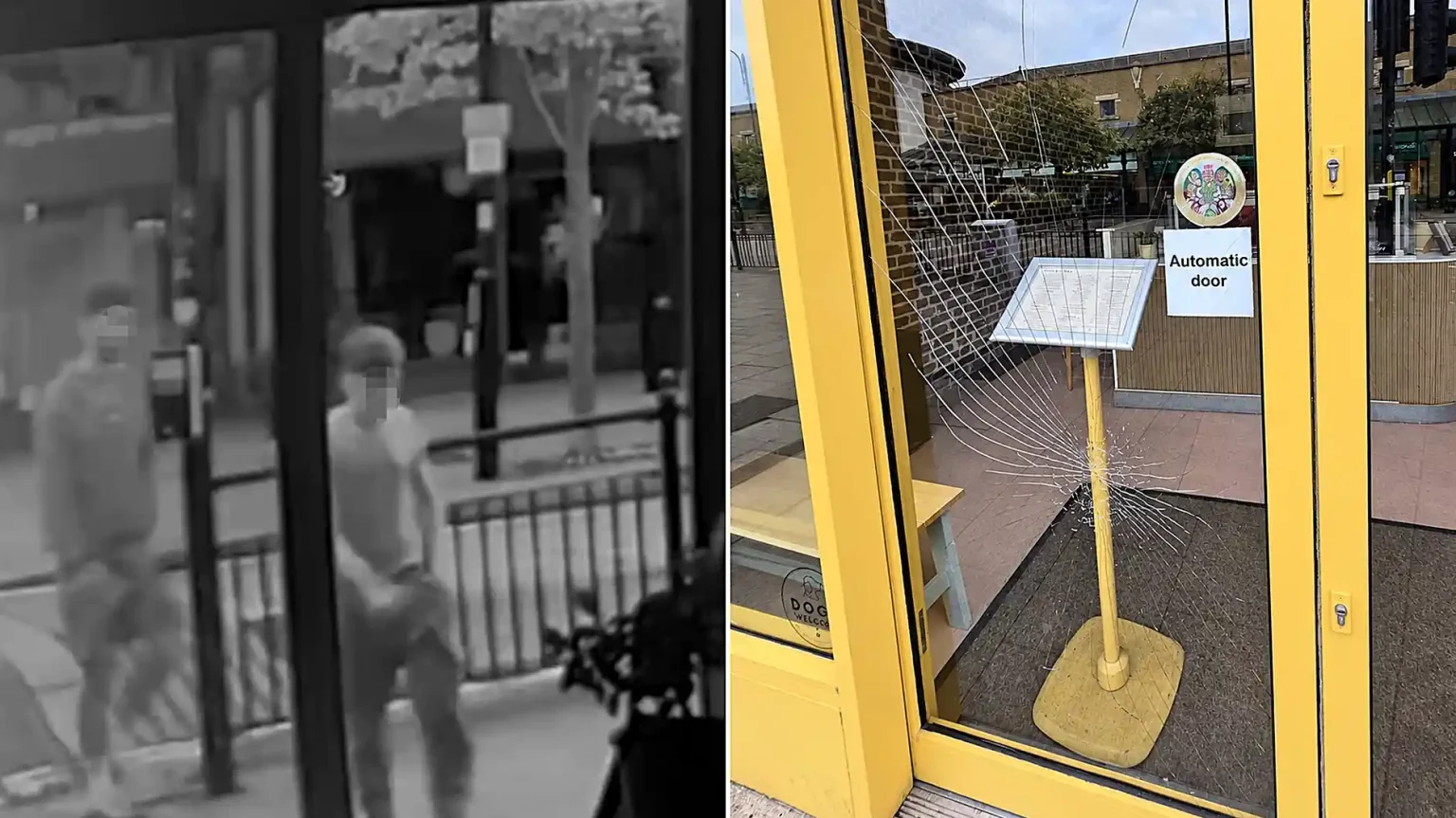 A thug smashed a restaurant's glass door with a single kick in a random attack - leaving the business facing a repair bill of up to £1,000.