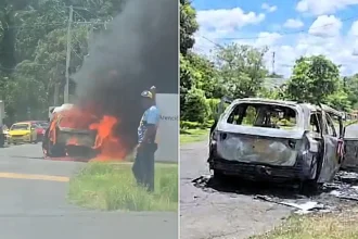 A hearse burst into flames on the way to a funeral in Panama - but the brave driver escaped and dragged the coffin clear before the fire could reach the body inside.