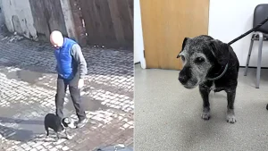 A man caught on CCTV kicking and dragging his blind 19-year-old dog Milo by the collar has been banned from keeping animals for two years after an RSPCA investigation.
