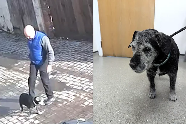 A man caught on CCTV kicking and dragging his blind 19-year-old dog Milo by the collar has been banned from keeping animals for two years after an RSPCA investigation.